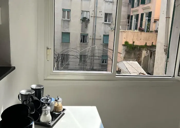 San Lorenzo Rollis *